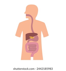 Digestive system icon clipart avatar logotype isolated vector illustration