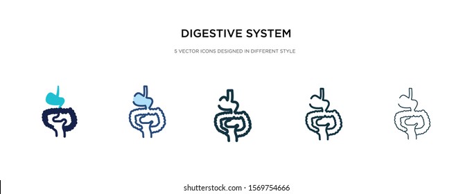 digestive system icon in different style vector illustration. two colored and black digestive system vector icons designed in filled, outline, line and stroke style can be used for web, mobile, ui