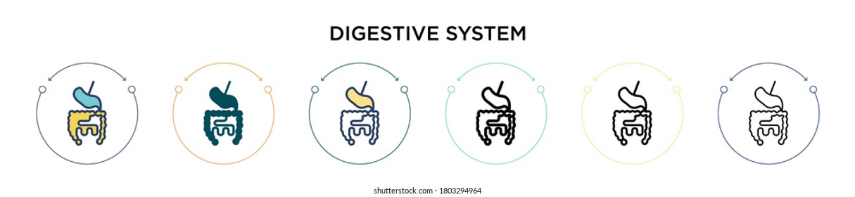 Digestive system icon in filled, thin line, outline and stroke style. Vector illustration of two colored and black digestive system vector icons designs can be used for mobile, ui, web