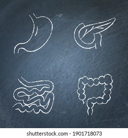 Digestive system icon sketch set on chalkboard. Small and large intestine, stomach and pancreas symbols. Human internal organs. Vector illustration.