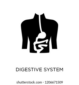 Digestive System icon. Digestive System symbol design from Human Body Parts collection.