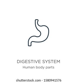 Digestive system icon. Thin linear digestive system outline icon isolated on white background from human body parts collection. Line vector sign, symbol for web and mobile