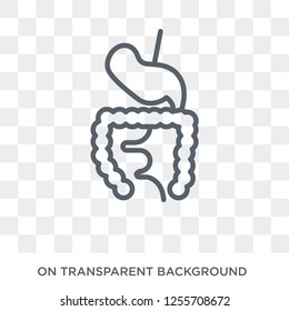 Digestive System Icon Trendy Flat Vector Stock Vector Royalty Free Shutterstock