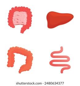 Verdauungssystem-Symbole setzen Cartoon-Vektorgrafik. In: Human Digestive System Anatomy. Medizinisches Konzept