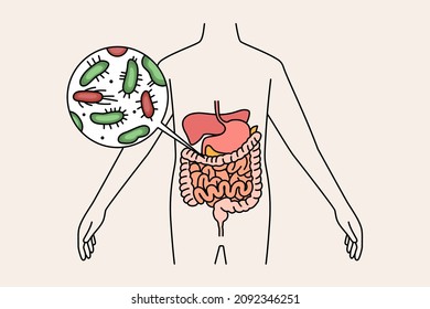 Digestive system and intestines concept. Human body with green and red bacterias microorganisms in stomach and intestines vector illustration 