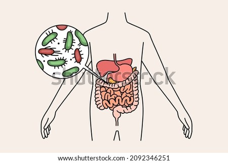 Digestive system and intestines concept. Human body with green and red bacterias microorganisms in stomach and intestines vector illustration 