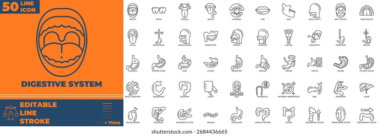 Conjunto de iconos editables de la línea del sistema digestivo. Ilustración vectorial en estilo de línea delgada moderna de los iconos del sistema digestivo: digestión, sistema, anatomía, etc