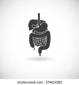 Digestive system with liver stomach and intestine black white flat vector illustration 