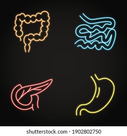 Digestive system neon icon set in line style. Small and large intestine, stomach and pankreas symbols. Vector illustration.