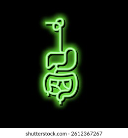 digestive system neon light sign vector. digestive system illustration