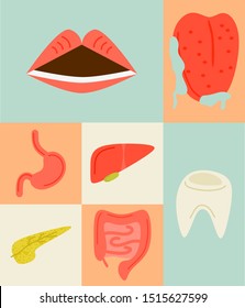 Digestive system organs flat design, consist of mouth, tongue stomach, liver, tooth, pancreas and bowels.