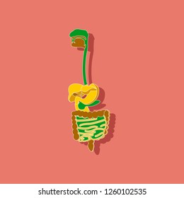 digestive system paper sticker on stylish background