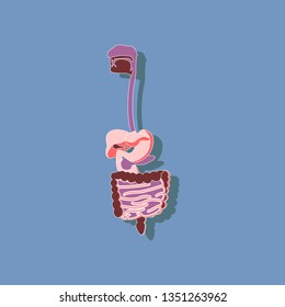 digestive system paper sticker on stylish background