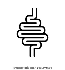 Digestive system part. Intestines flat vector illustration. Medical information image.
