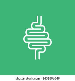 Digestive system part. Intestines flat vector illustration. Medical information image.