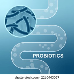 Digestive system and probiotics. EPS10 vector