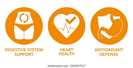 Digestive System Support, Heart Health, Antioxidant Defense - flat circle icons set for nutrient supplements