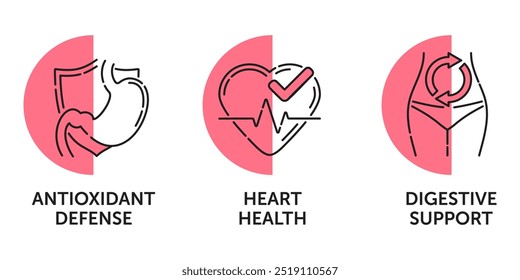 Suporte do sistema digestivo, saúde do coração, defesa antioxidante - ícones semicírculo definido para suplementos nutricionais
