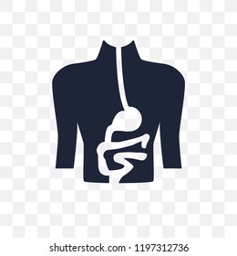 Digestive System transparent icon. Digestive System symbol design from Human Body Parts collection.