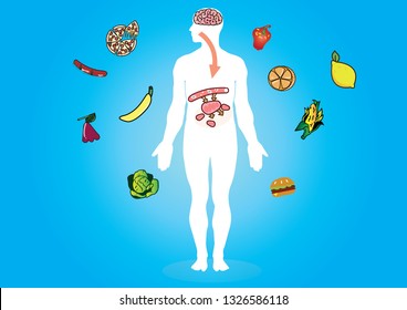 Digestive system vector illustration show that how to convert biochemical energy from food and other nutrients