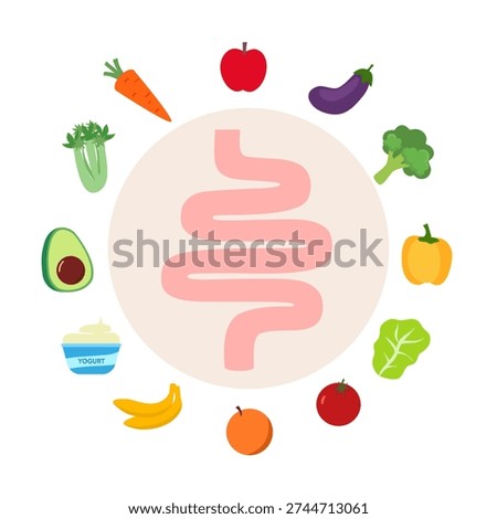 Digestive system with vegetables and fruits. Proper nutrition for Intestine concept vector illustration.