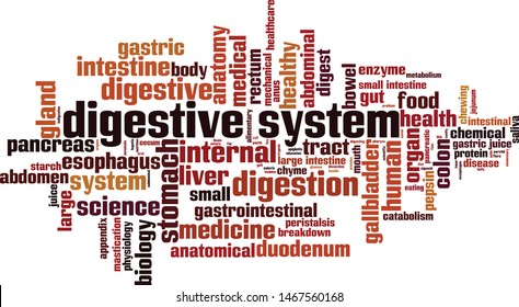 Digestive system word cloud concept. Collage made of words about digestive system. Vector illustration 
