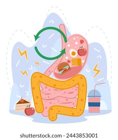 Ilustración de vector de dibujos animados del sistema digestivo. Proceso de digestión de la comida chatarra. Anatomía, educación, medicina, concepto de salud.