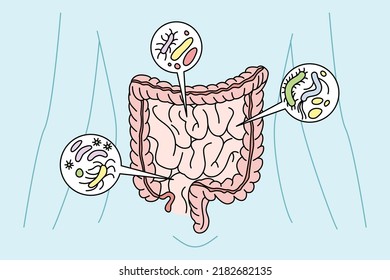 Digestive Tract With Bacteria Inside. Person Digestion Organs Intestines With Virus. Healthcare And Bowel. Vector Illustration. 