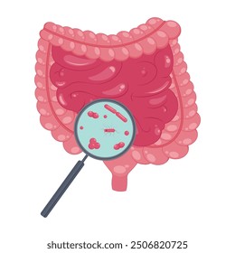 Intestinos del tracto digestivo con lupa. Ilustración vectorial sobre fondo blanco.