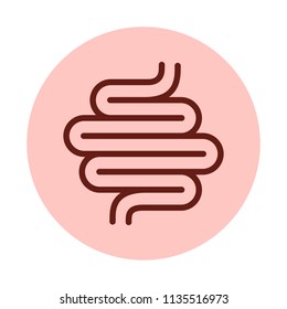 Digestive Tract Vector Icon Isolated On White Background