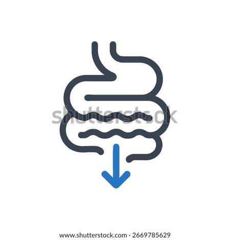 Digestive Transit Icon Isolated On White Background 
