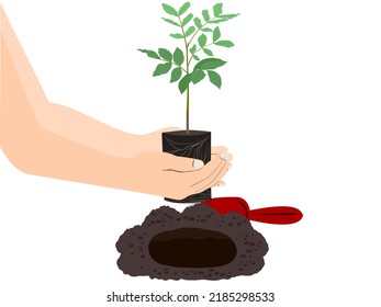 digging the soil for planting trees.