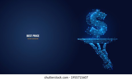 Digital 3d Hand Holding Plate With Dollar Icon In Dark Blue. Abstract Dish And Currency Symbol. Best Price Or Offer, Bargain, Money Concept. Low Poly Mesh Wireframe With Dots, Lines, Stars And Shapes
