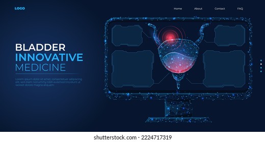 Digital 3d low poly bladder model. Wireframe concept treatment of human excretory system. Abstract background vector illustration.