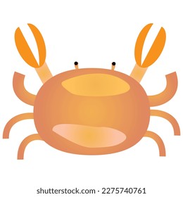 Digital art of a crab isolated on a white background, crab element for food banner design, render vector of crab element, vector art illustration