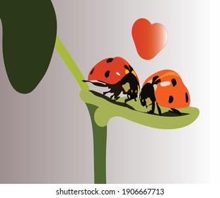 Digital art of ladybugs sitting on a leaf and a heart shape.