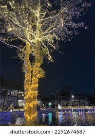 Digital Art Lights Eid Christmas decoration tree water open space night mall cafe restaurants celebration vibes free fresh air city late nights Evening