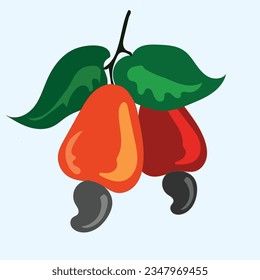 digital cashew fruit on grey background . digital casew nut with leaves illustration