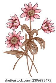 
Digital Design background with colorful objects and flowers-digital-textile-design-flowers-leaves-Exquisite border design, border pattern, Motif, Graph-Digital Textile All-Over Pattern Design for Pak
