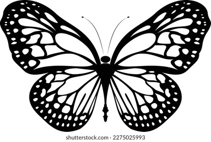 Digital drawing of a butterfly with black wings