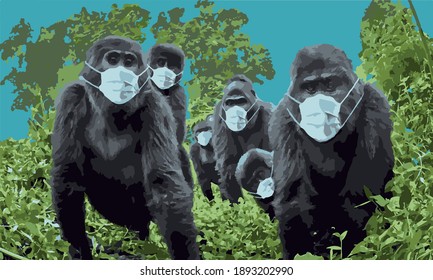 Digital drawing of gorillas wearing masks to protect against corona virus.