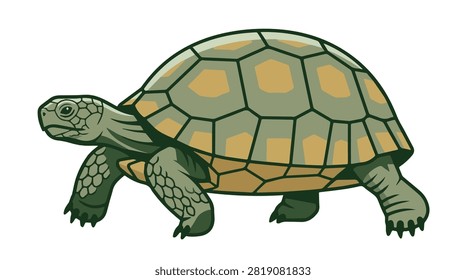 digital drawing of a green tortoise with detailed shell and textured skin suitable for wildlife education and nature conservation imagery