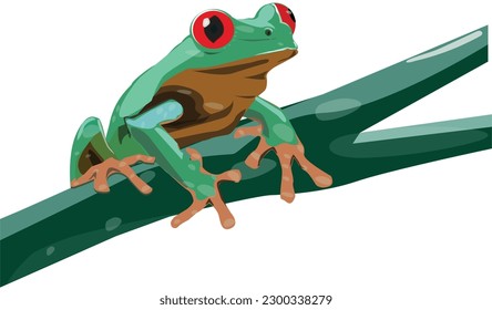 Ilustración digital de dibujos de rana