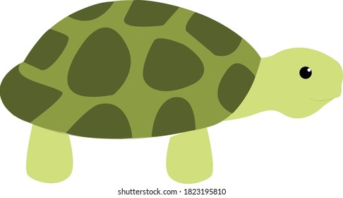 Digital Drawing Illustration Turtle Stock Vector (Royalty Free ...