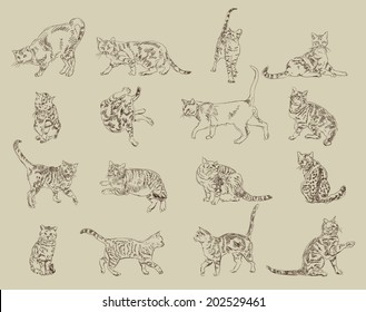 Cat Sketch Images Stock Photos Vectors Shutterstock