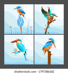 Digital flat design, illustration inspired from kingfisher