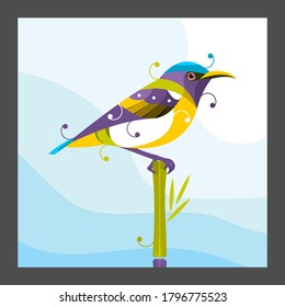 Digital flat design, source Illustration from Colibri bird vector