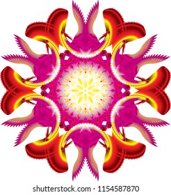 Digital Flower Art