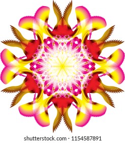 Digital Flower Art