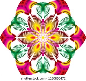 Digital Flower Art